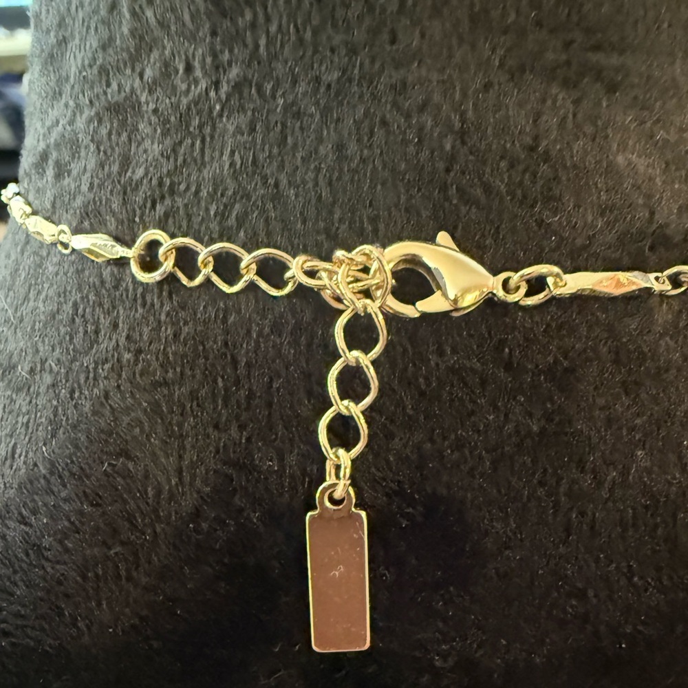 BaubleBar Black and Gold Tassel Necklace - Picture 10 of 11